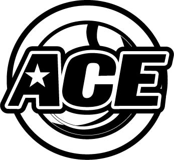 ACE 사진